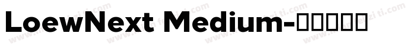 LoewNext Medium字体转换